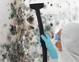 Reliable Albion, NE Mold Removal Services Solutions